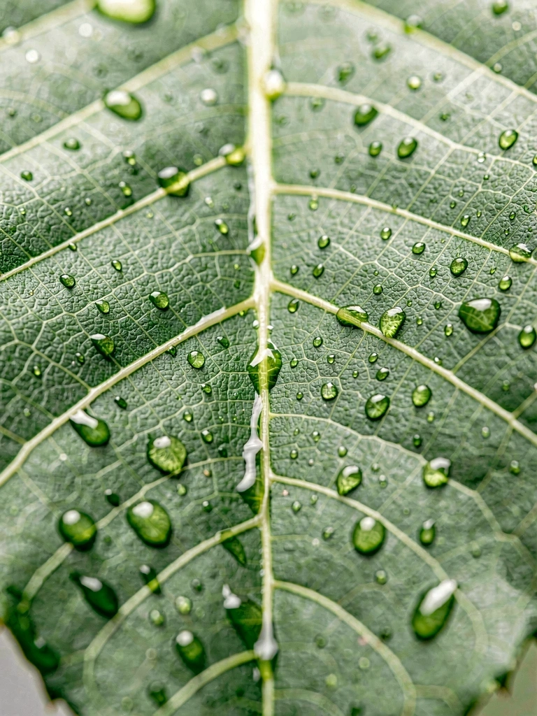 Detalle botánico científico